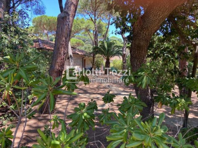 Detached house in Via Bellini, Castiglione della Pescaia - Photo 1