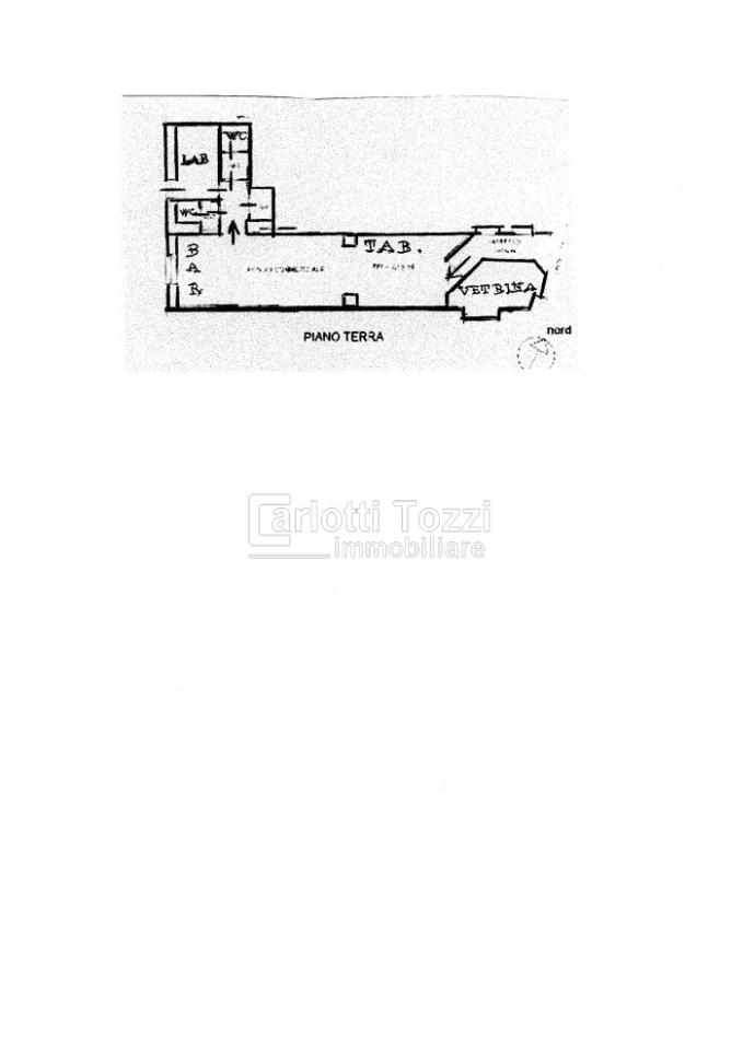 Negozio in Corso Carducci, Grosseto, {3} - Planimetria 1