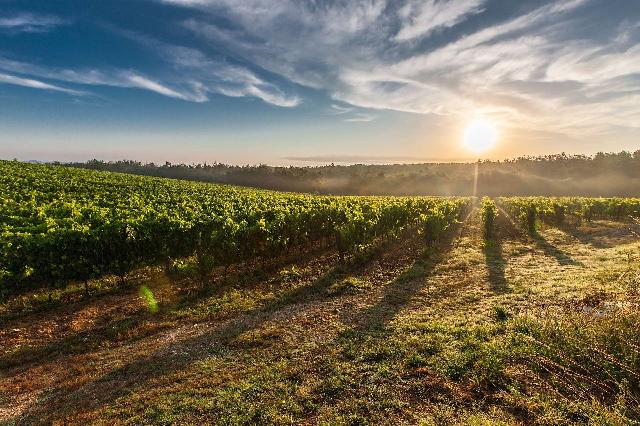 Terreno agricolo, Prata di Pordenone - Foto 1