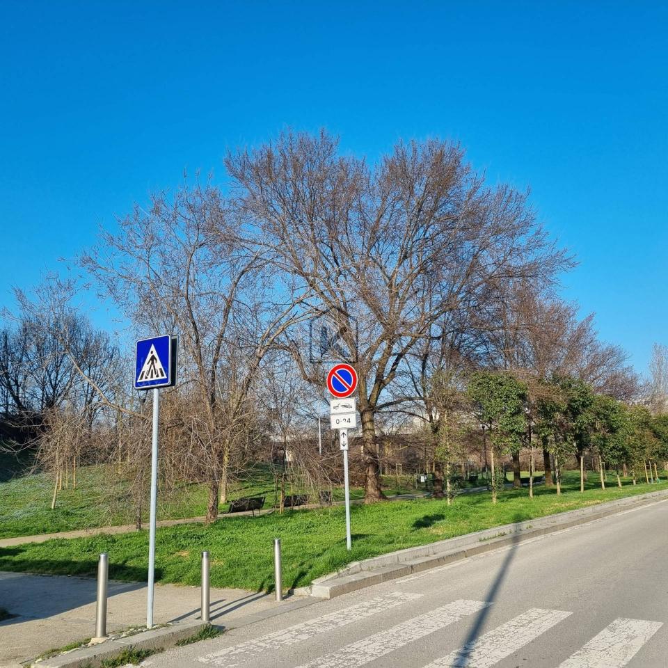 immagine annuncio 7 di 12