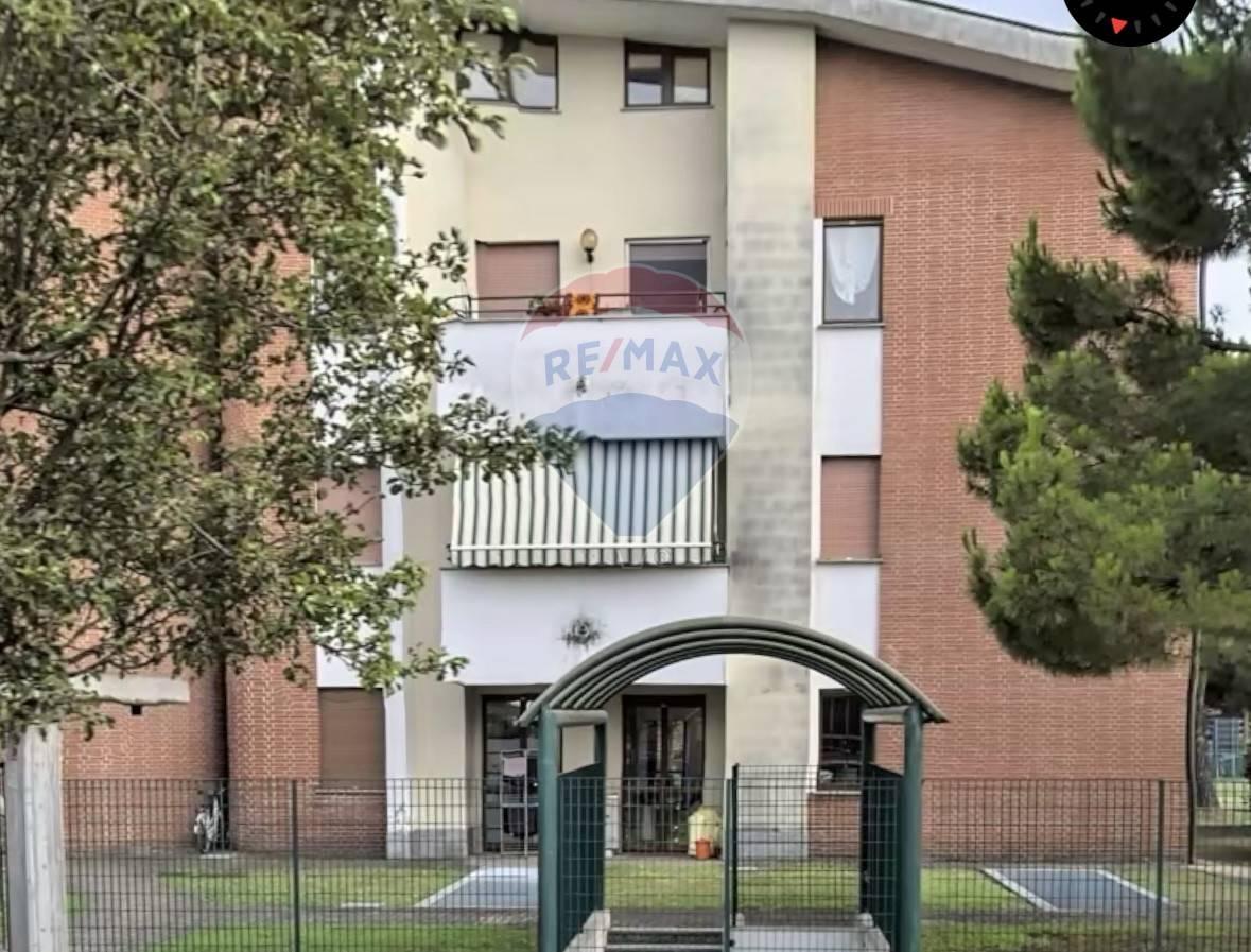 immagine annuncio 5 di 6