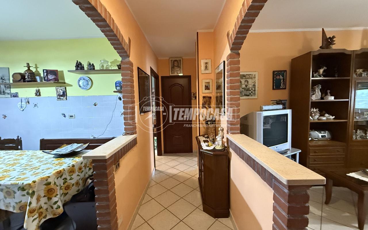 immagine annuncio 3 di 14