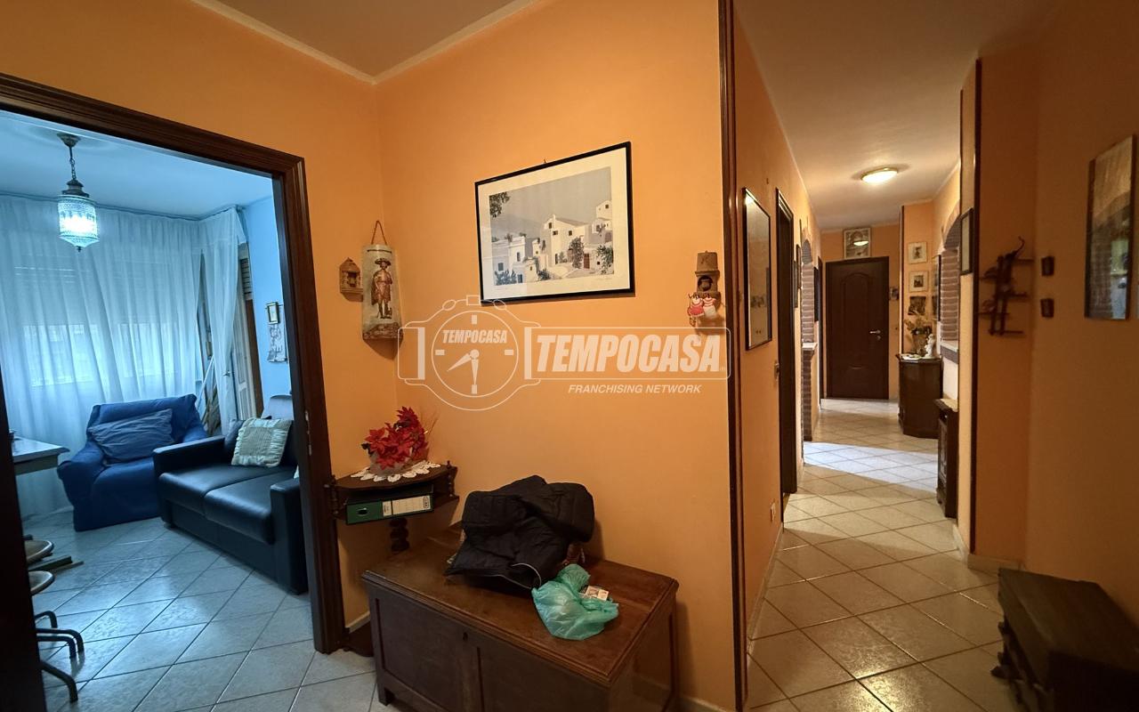 immagine annuncio 4 di 14