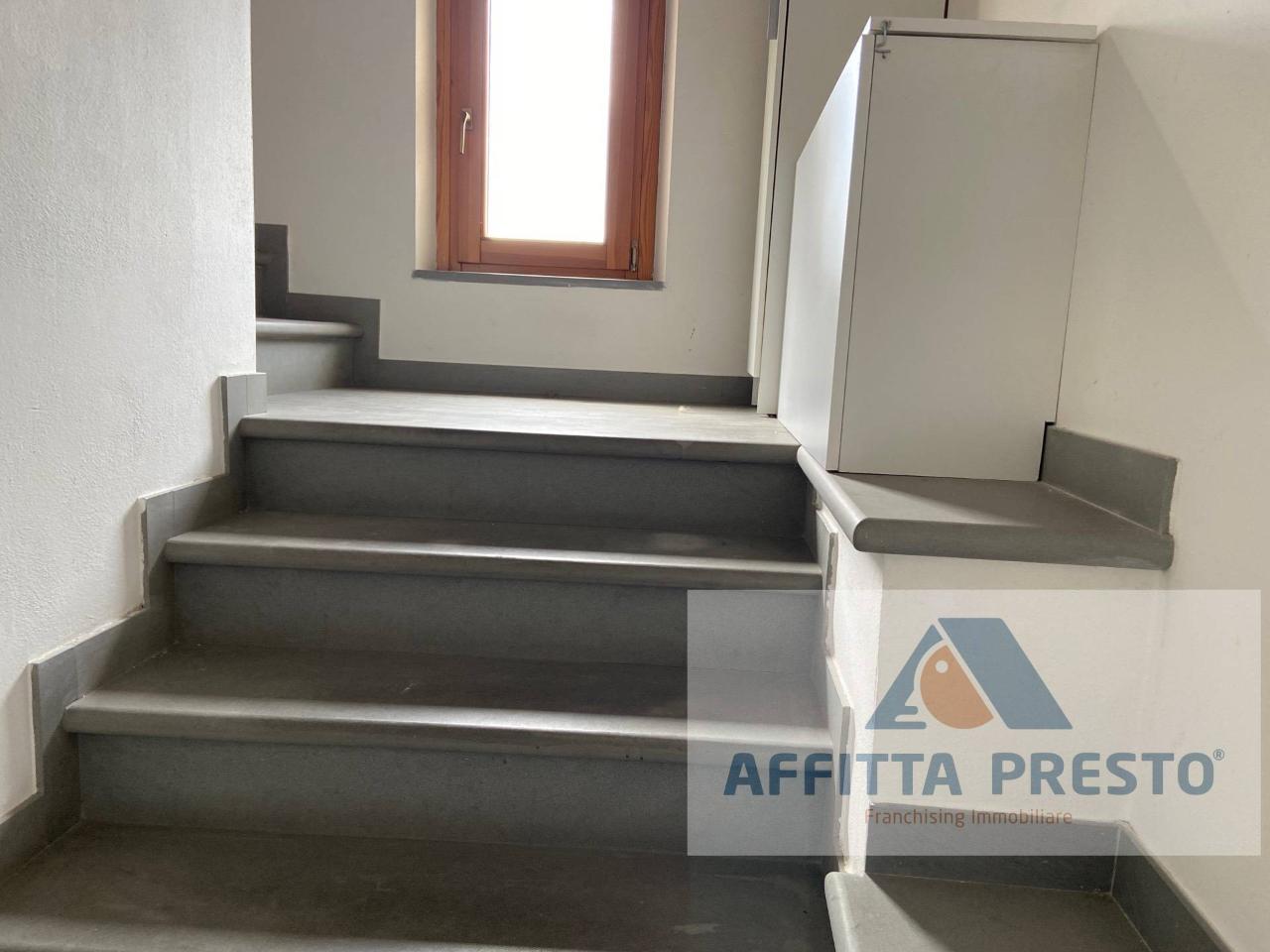 immagine annuncio 9 di 14