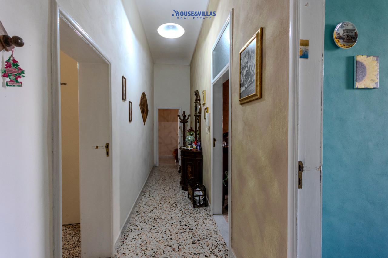 immagine annuncio 5 di 14