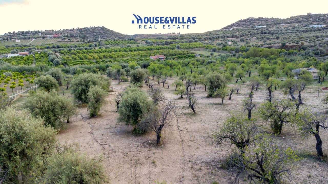 immagine annuncio 5 di 14