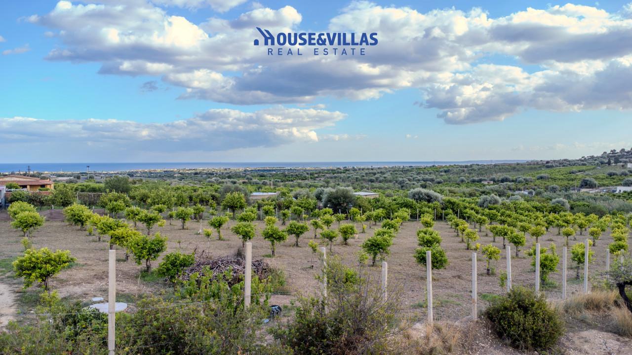 immagine annuncio 3 di 14