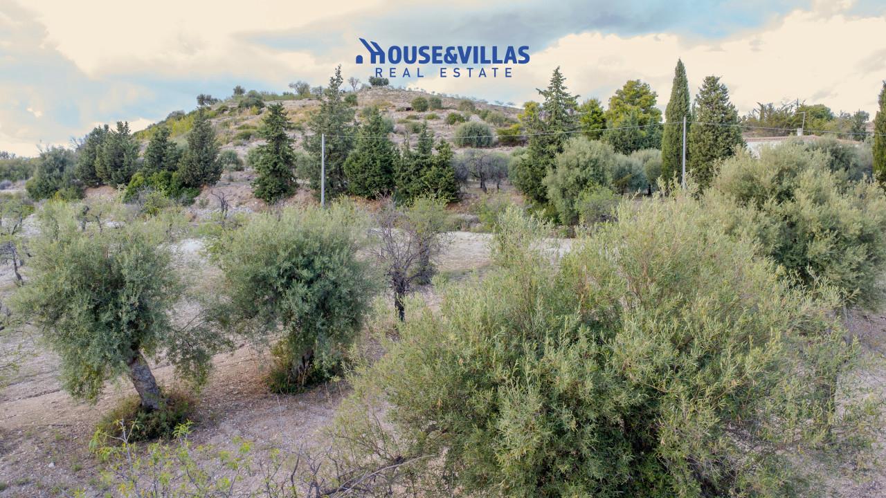 immagine annuncio 9 di 14