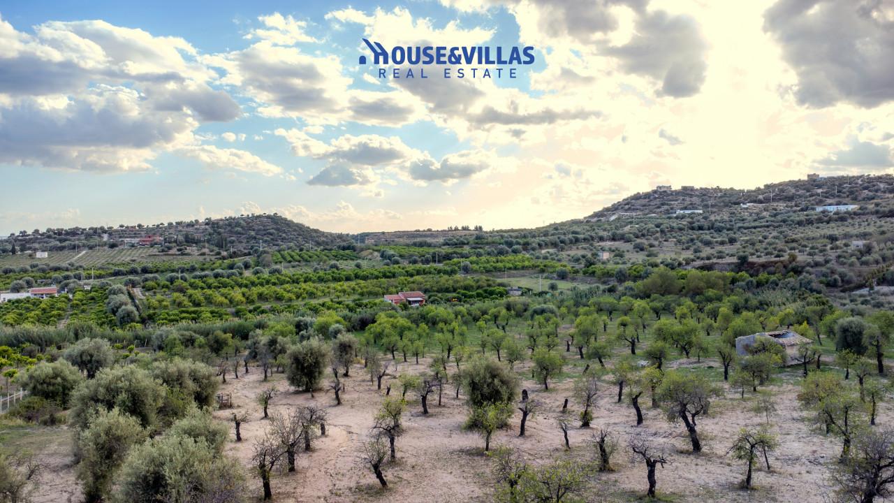 immagine annuncio 8 di 14