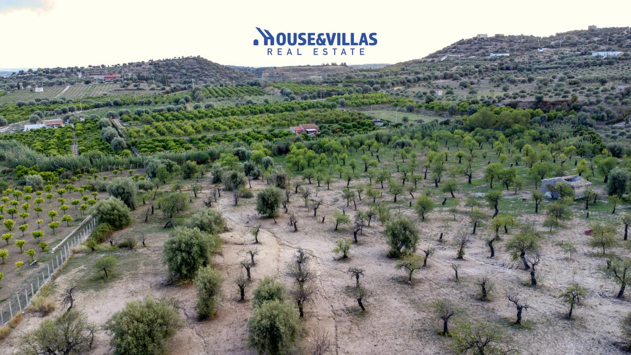 immagine annuncio 6 di 14