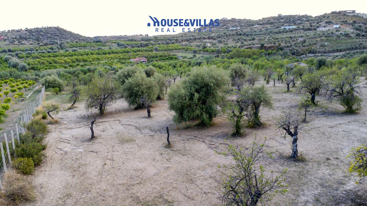 immagine annuncio 4 di 14