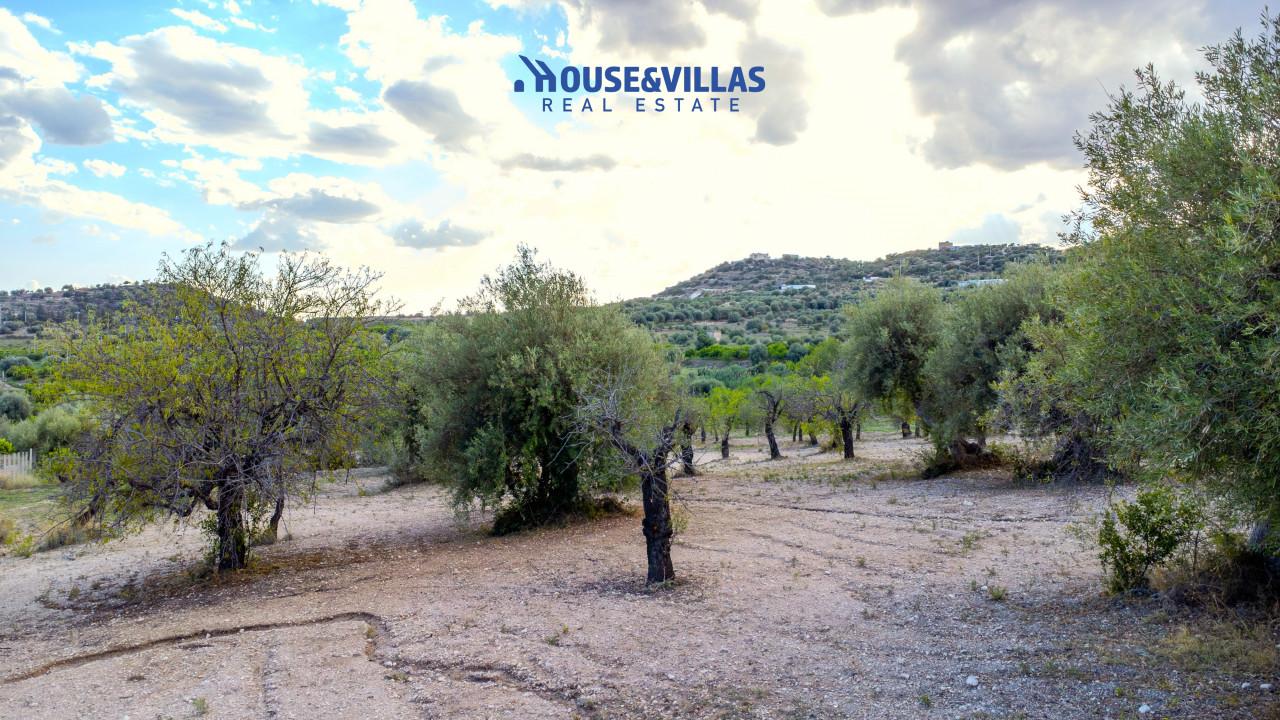 immagine annuncio 7 di 14