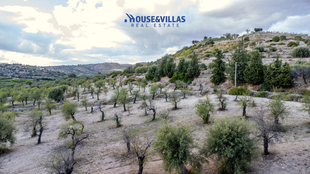 immagine annuncio 10 di 14