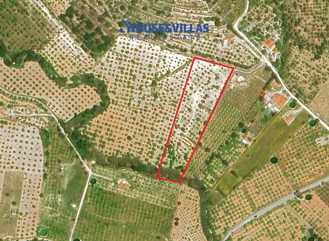 immagine annuncio 13 di 14