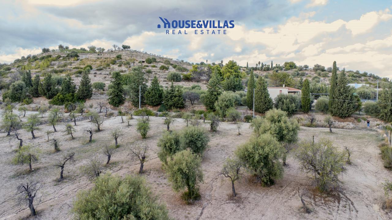 immagine annuncio 11 di 14