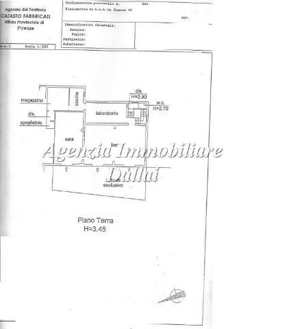 main planimetry real estate image