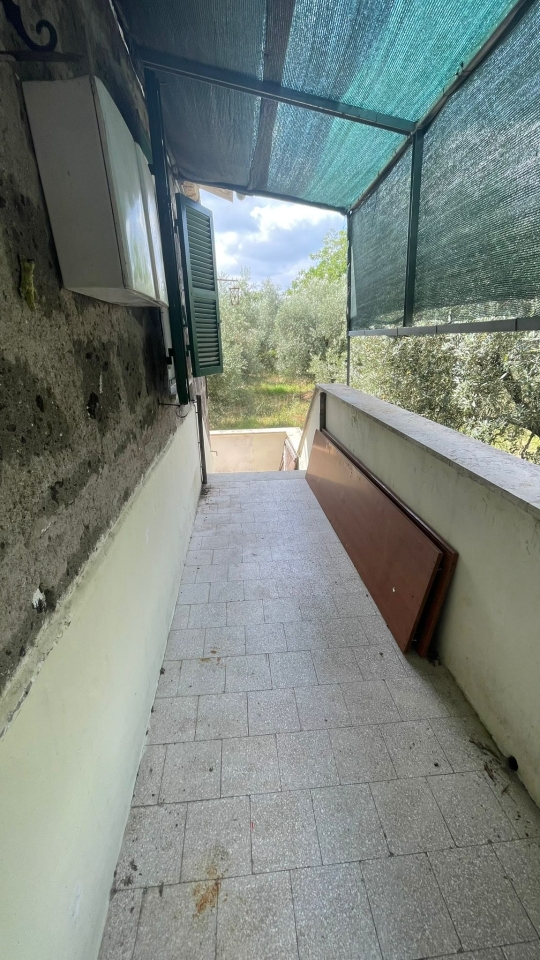 immagine annuncio 2 di 12