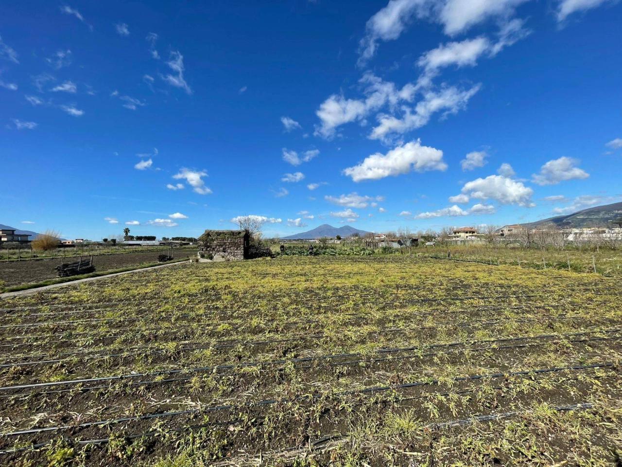 Terreno agricolo in vendita a Nocera Inferiore