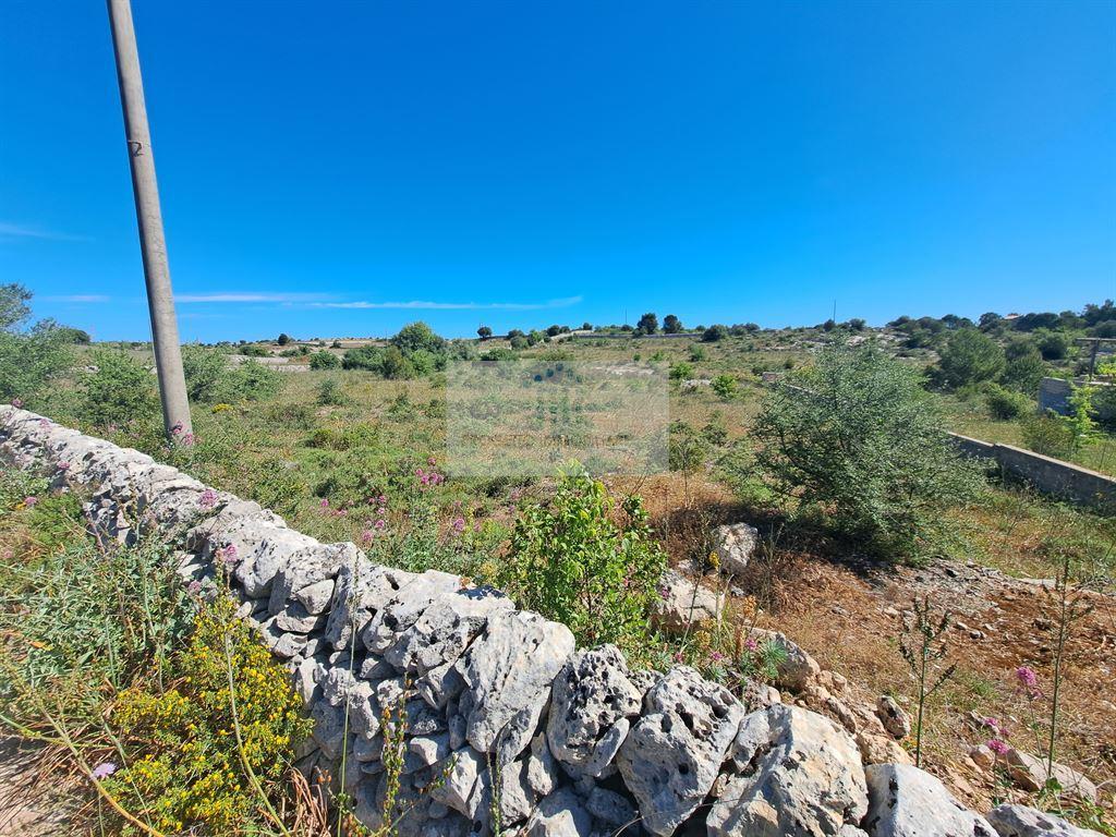 immagine annuncio 3 di 6