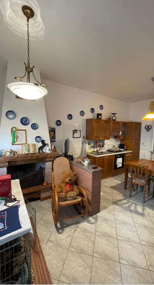 immagine annuncio 4 di 14