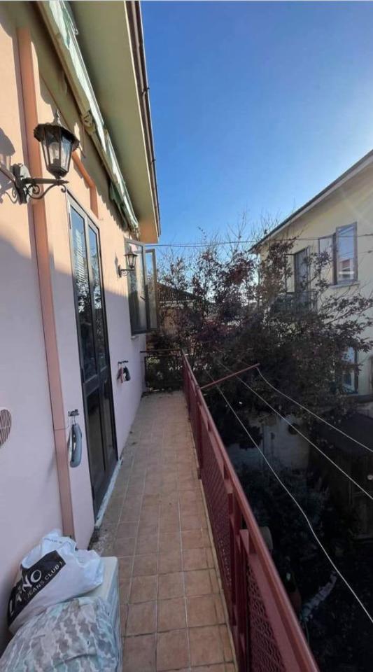 immagine annuncio 12 di 14