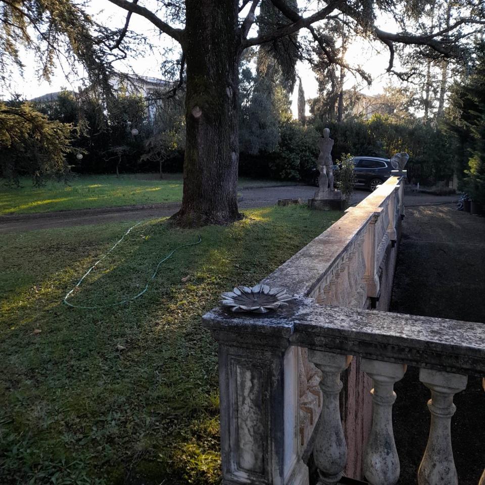 immagine annuncio 6 di 13