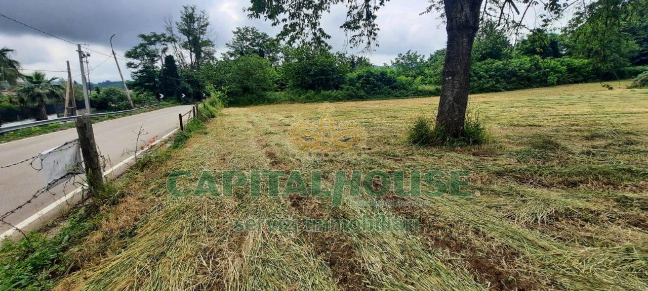 Terreno agricolo in vendita a Caserta