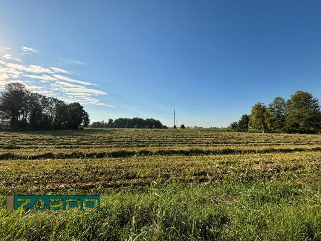 Terreno agricolo, Castelfranco Veneto - Foto 1