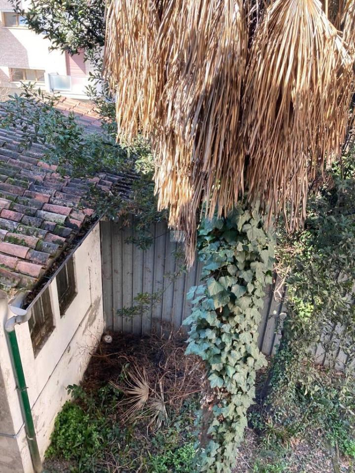 immagine annuncio 4 di 9