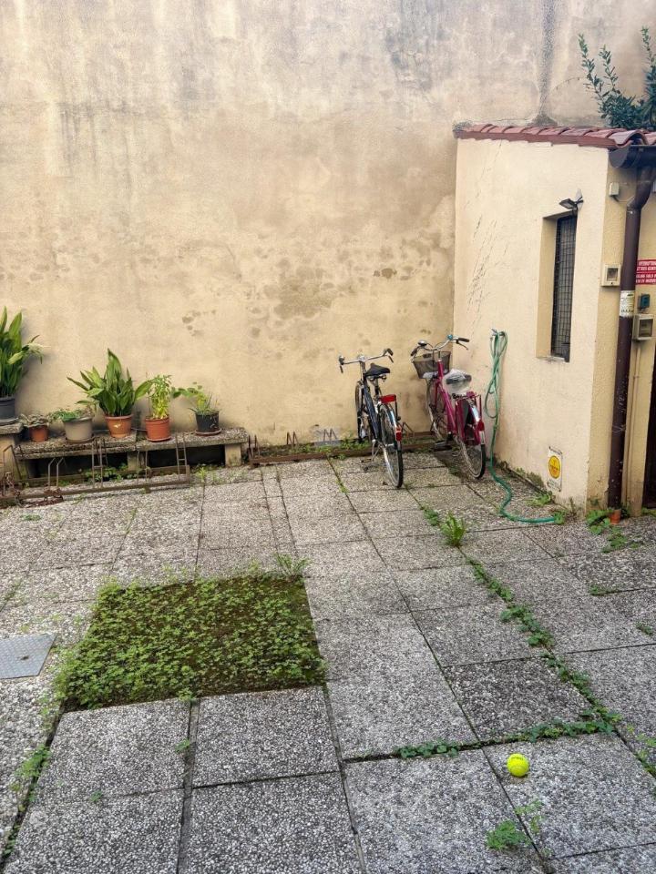 immagine annuncio 9 di 14