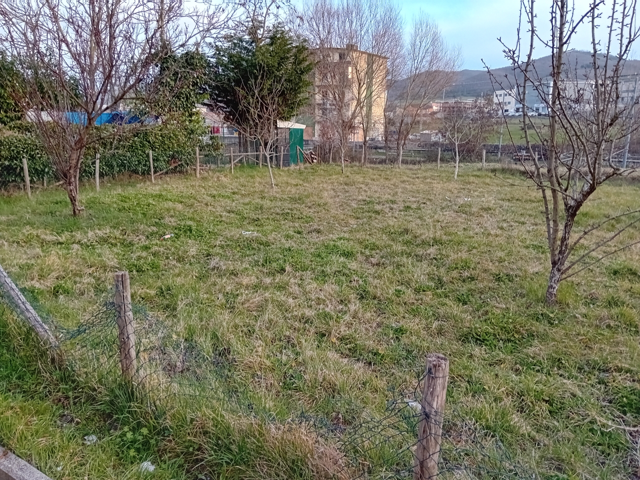 immagine annuncio 13 di 15