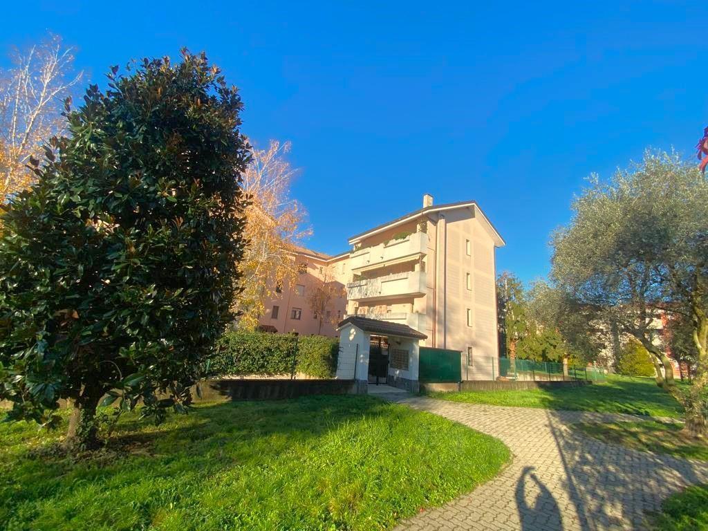 immagine annuncio 9 di 11