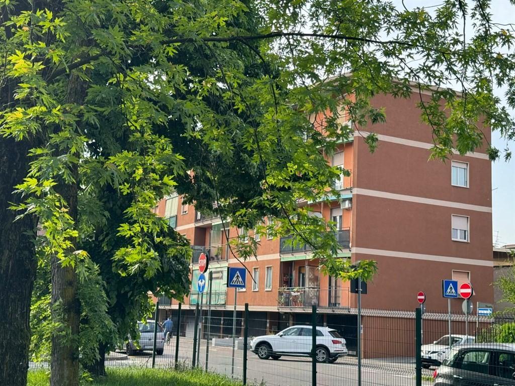 immagine annuncio 1 di 14