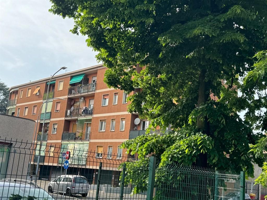 immagine annuncio 12 di 14