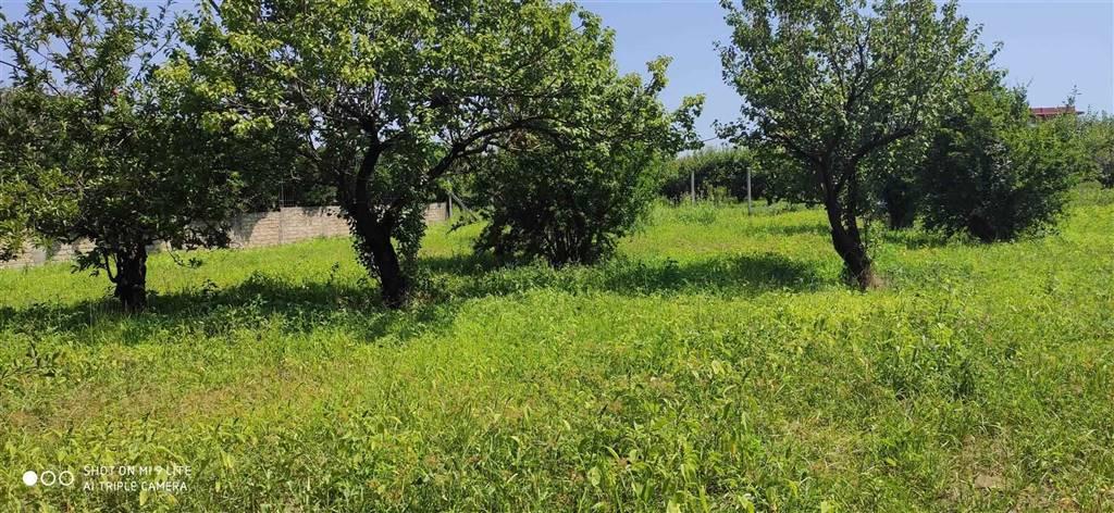 Agriturismo in , Giugliano in Campania - Foto 1