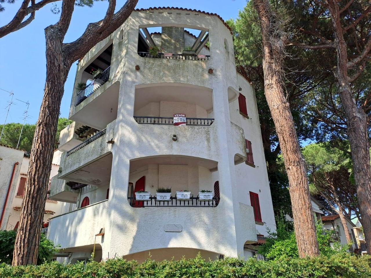 immagine annuncio 3 di 7