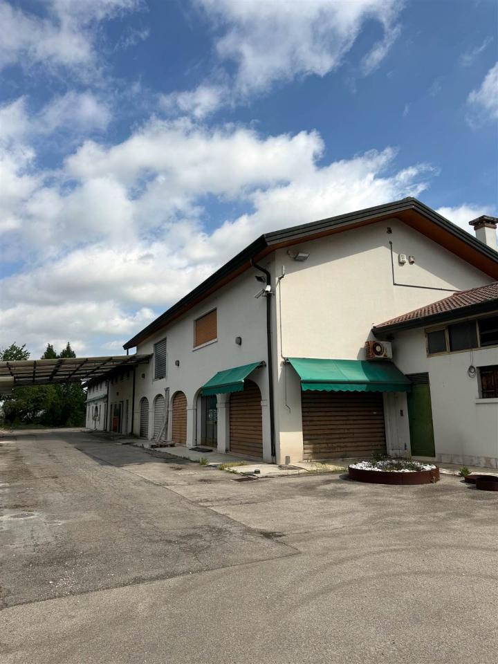 immagine annuncio 3 di 9