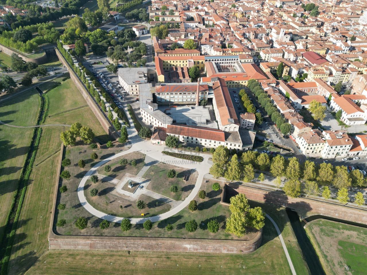 Piante e fiori in Viale Europa 556, Lucca, {3} - Foto 2