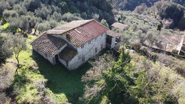 Country house or cottage, Lucca - Photo 1