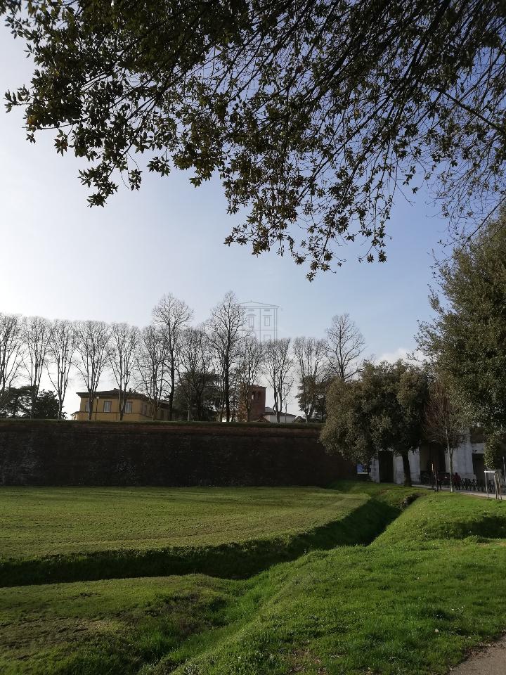 Capannone in , Lucca, {3} - Foto 1