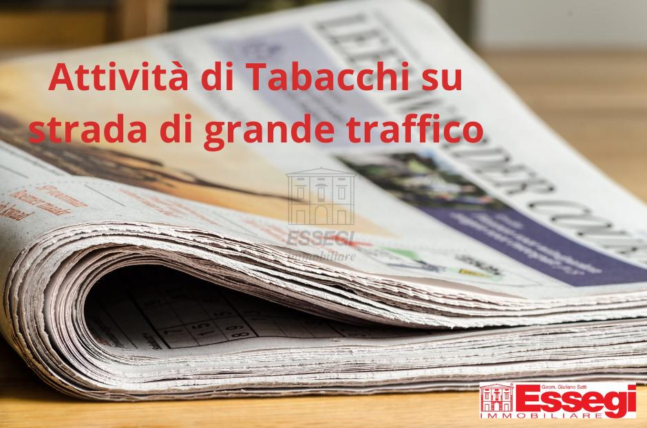 Tabaccheria in Viale G. Puccini 527, Lucca, {3} - Foto 1