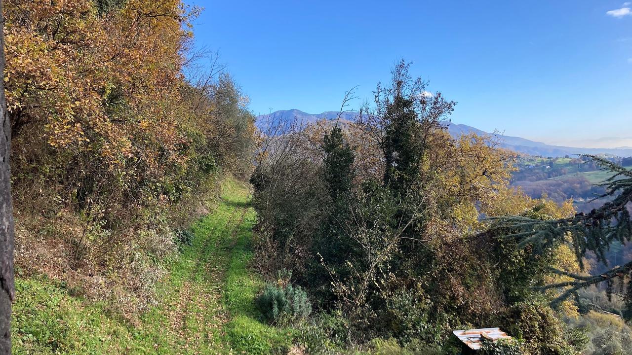 immagine annuncio 10 di 14