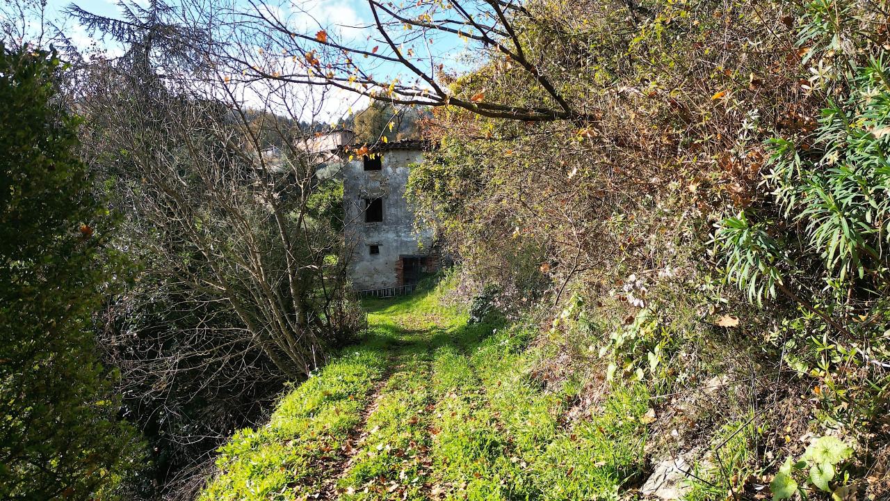 immagine annuncio 5 di 14