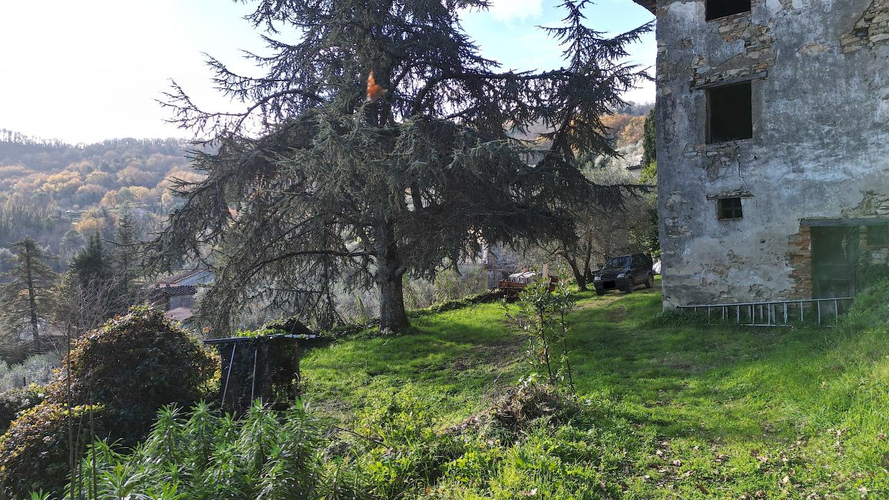 immagine annuncio 6 di 14