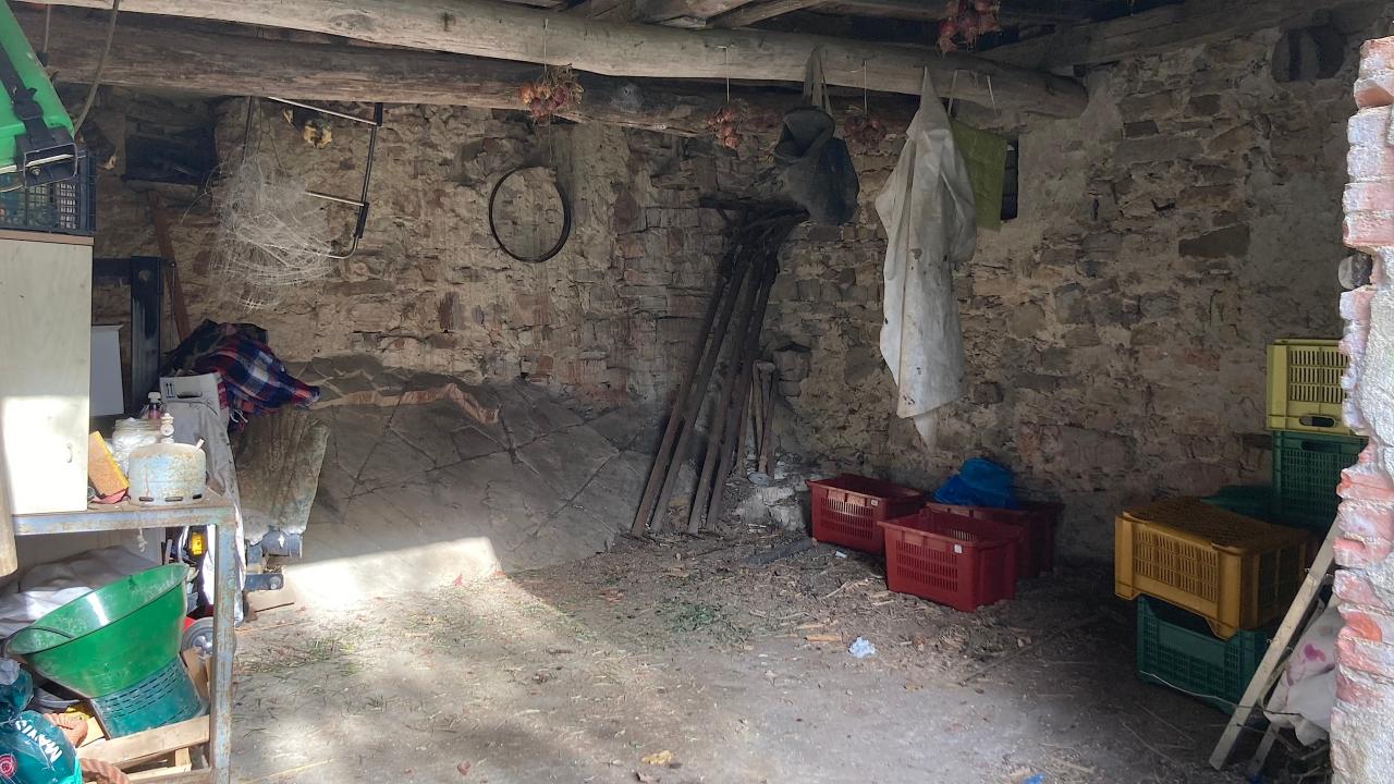 immagine annuncio 13 di 14