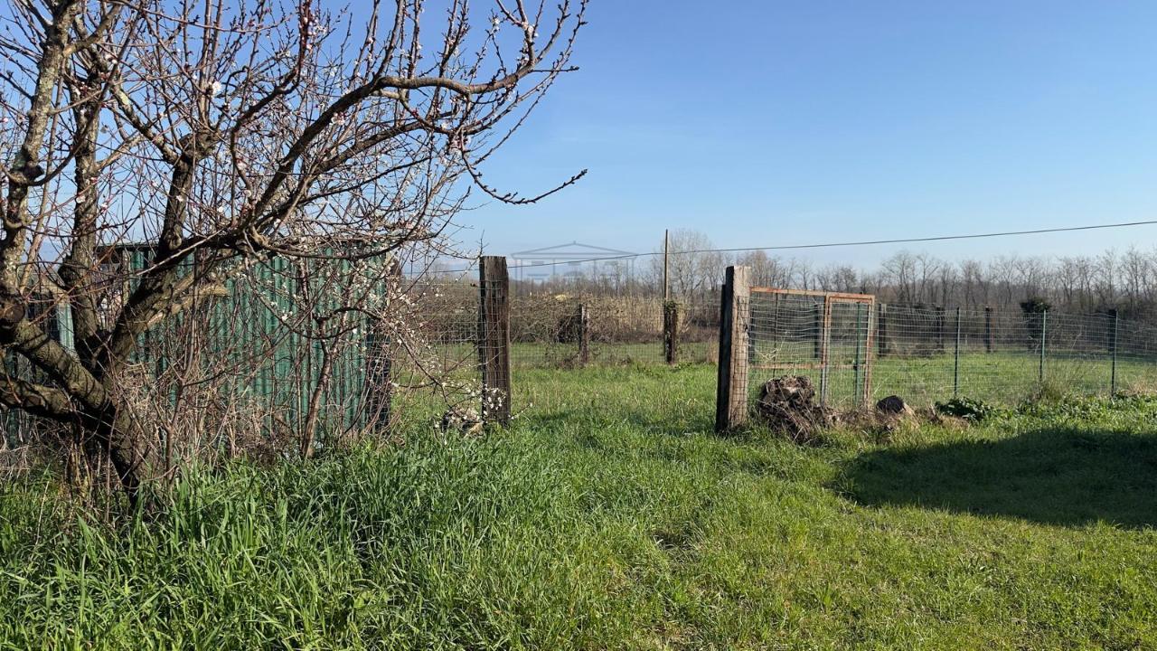 immagine annuncio 1 di 2