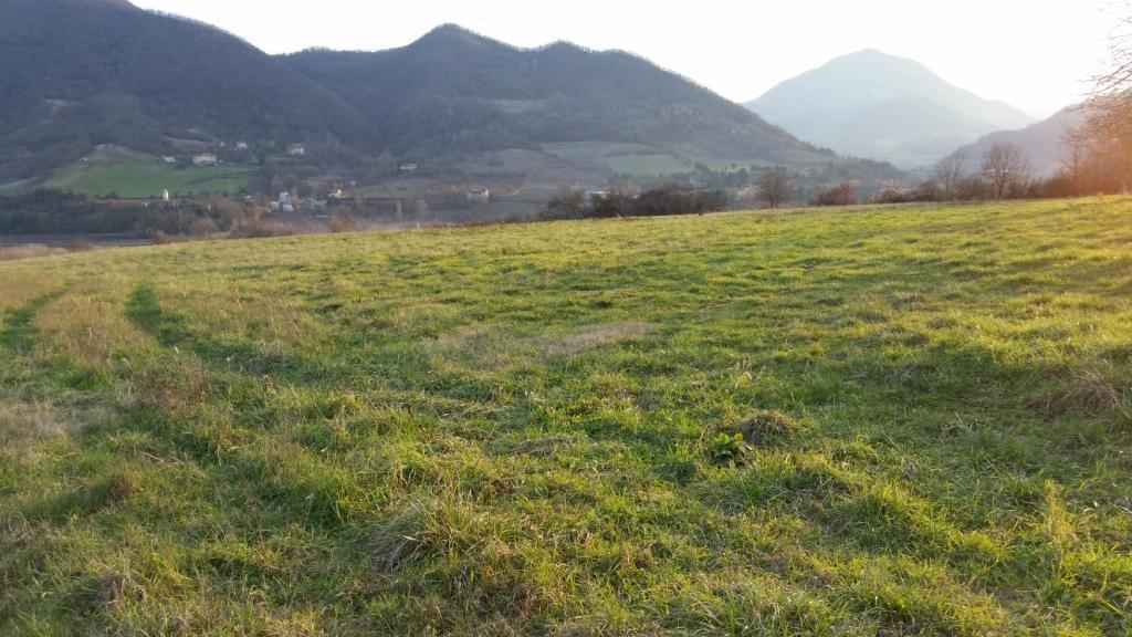 Terreno agricolo in vendita a Marzabotto