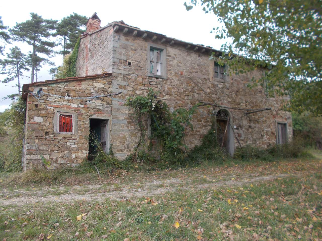 Foto 1