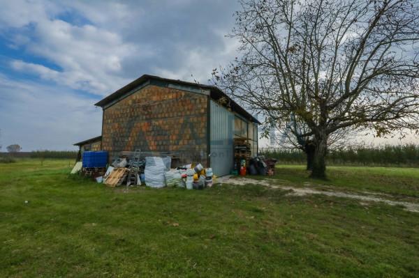 immagine annuncio 8 di 12