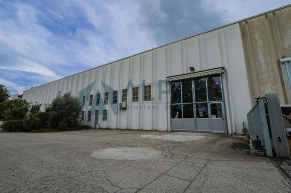 Capannone in Via Biondina, Castrocaro Terme, {3} - Foto 1